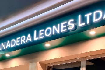 /trabajos/2025/05/27/letreros-de-acero-luminoso-leones-72.jpg